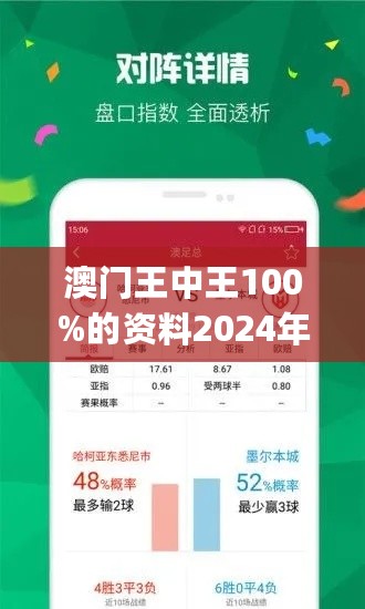 2025新澳门王中王正版，探索澳门新纪元，2025新澳门王中王正版的独特魅力