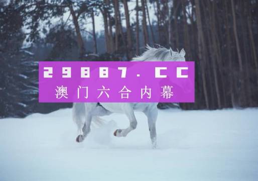 新澳门历史开奖记录查询汇总，新澳门历史开奖记录查询汇总，探索与解析
