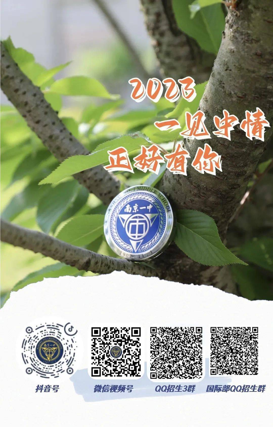 2025年一肖一码一中一特，探索未来彩票奥秘，2025年一肖一码一中一特
