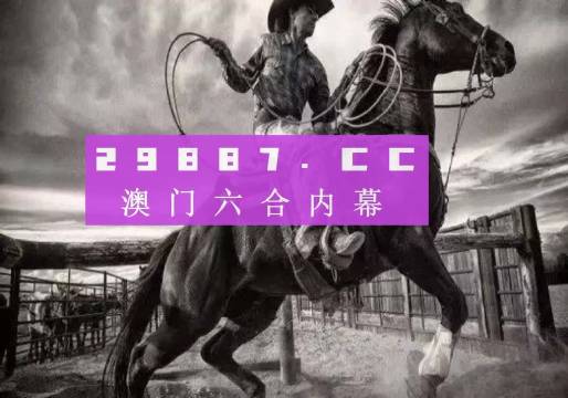奥门正版资料免费大全，澳门正版资料免费大全——探索与启示