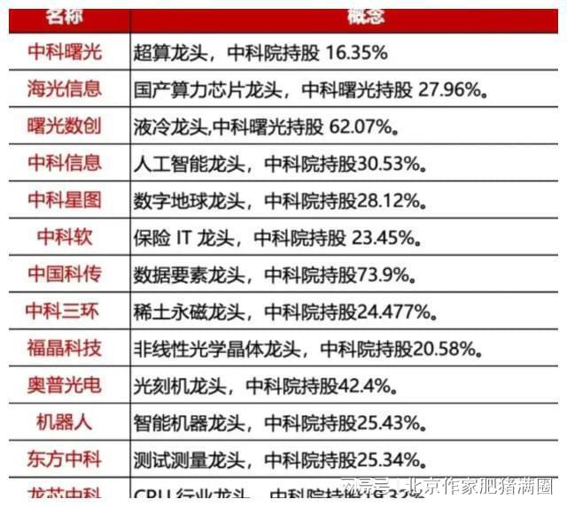 最准一肖一码一一子中特9755，揭秘最准一肖一码一一子中特9755背后的秘密