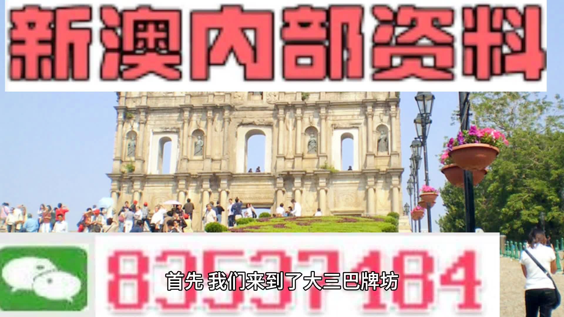 新澳最新版资料心水，新澳最新版资料心水，深度解析与实际应用