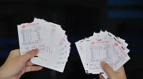 一码中持一一肖一码，一码中持一一肖一码，探索彩票的神秘与魅力