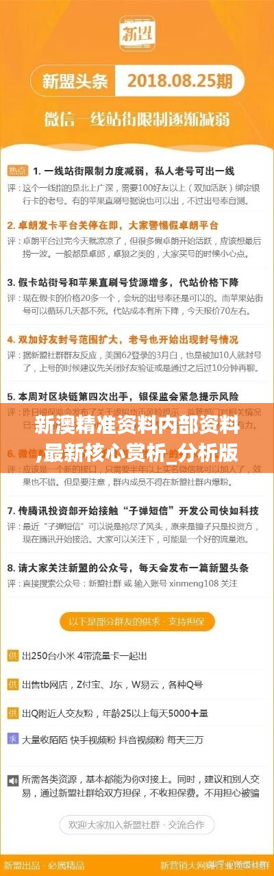 新澳精准资料免费提供221期，新澳精准资料免费提供，探索第221期的奥秘与价值