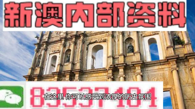 新澳门资料大全免费新鼬，新澳门资料大全免费新鼬，探索与揭秘