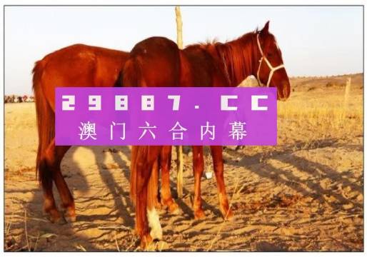 澳门六开奖结果今天开奖记录查询，澳门六开奖结果今天开奖记录查询，探索与解析