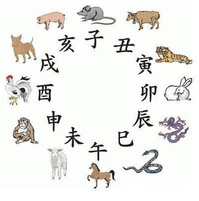 2025澳门精准正版生肖图，澳门正版生肖图，探索未来的奥秘与文化的魅力