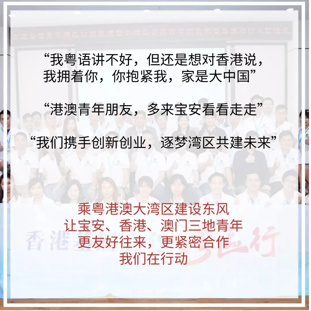 新澳门管家婆一句话，新澳门管家婆一句话的魅力与启示