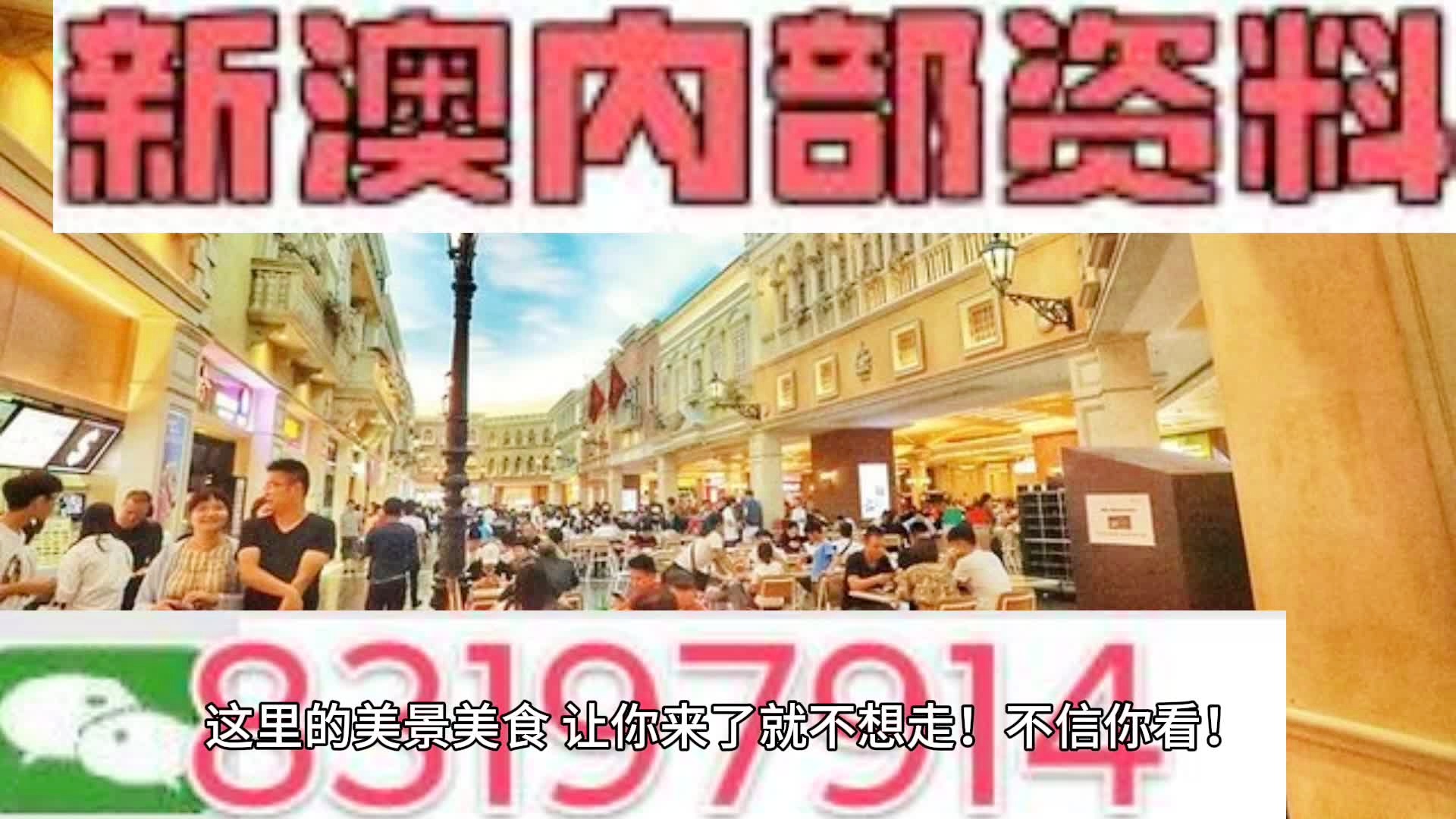 新奥门正版资料免费长期公开，新澳门正版资料免费长期公开，探索与解读